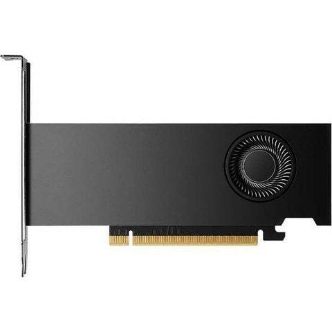 PNY NVIDIA RTX 2000 Ada Graphic Card - 16 GB GDDR6 - Low-profile