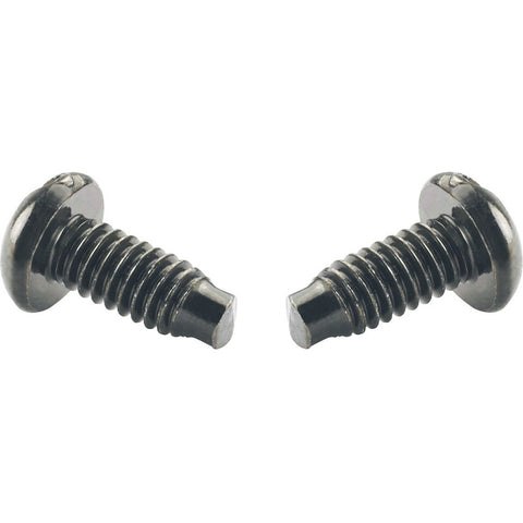 Panduit Corp 100pk En Screw 12-24