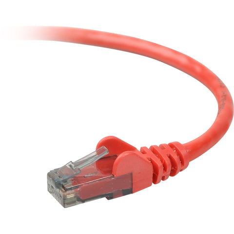 Belkin International Inc Patch Cable - Unshielded Twisted Pair (utp) - Male Left Gender - Male Right Gend
