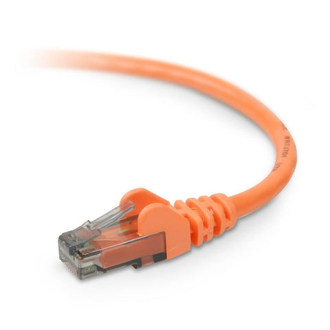 Belkin International Inc Patch Cable - Unshielded Twisted Pair (utp) - Male Left Gender - Male Right Gend
