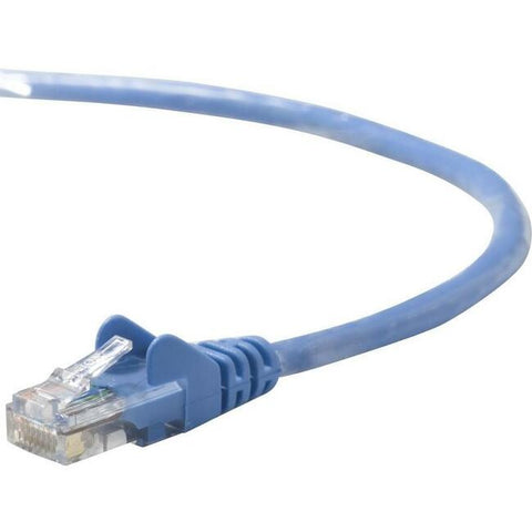 Belkin International Inc Patch Cord - Unshielded Twisted Pair (utp) - Male Left Gender - Male Right Gende