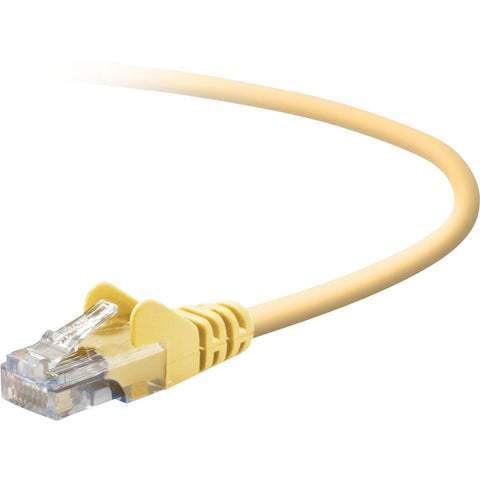 Belkin International Inc Patch Cord - Unshielded Twisted Pair (utp) - Male Left Gender - Male Right Gende