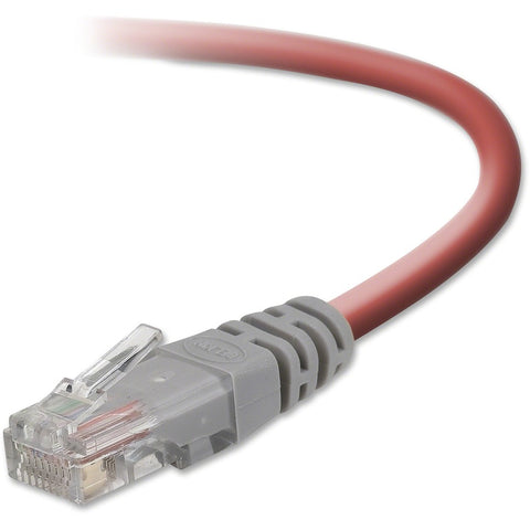 Belkin International Inc Belkin Network Cable - Unshielded Twisted Pair (utp) - Male Left Gender - Male R