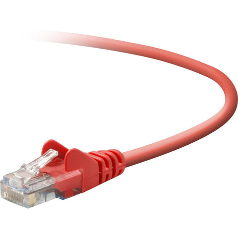 Belkin International Inc Patch Cable - Unshielded Twisted Pair (utp) - Male Left Gender - Male Right Gend