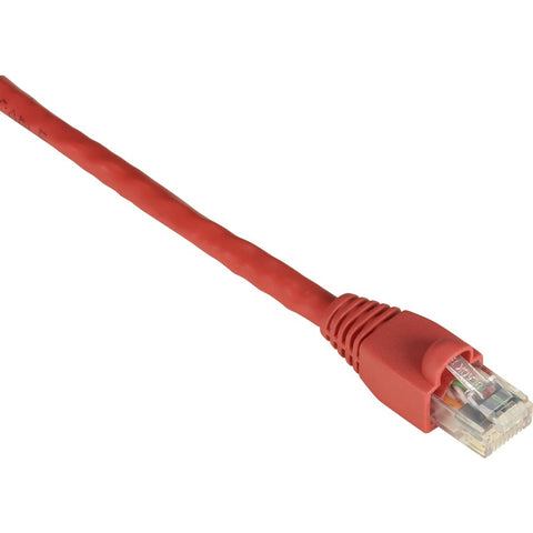 Black Box Cat6 550-mhz Snagless Stranded Ethernet Patch Cable - Unshielded (utp), Cm Pvc (
