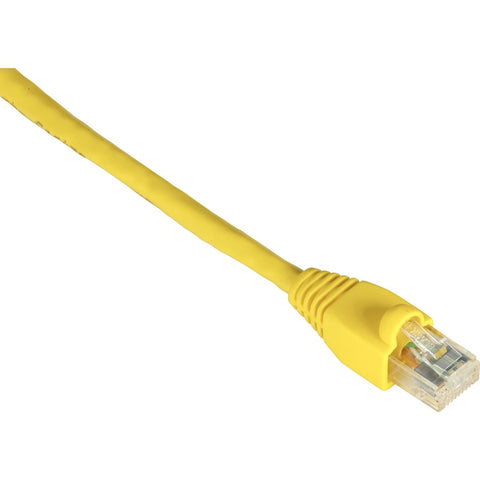 Black Box Cat6 550-mhz Snagless Stranded Ethernet Patch Cable - Unshielded (utp), Cm Pvc (