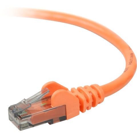 Belkin International Inc Patch Cable - Unshielded Twisted Pair (utp) - Male Left Gender - Male Right Gend