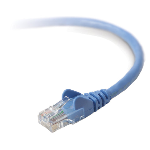 Belkin International Inc Belkin Patch Cable - Unshielded Twisted Pair (utp) - Male Left Gender - Male Rig