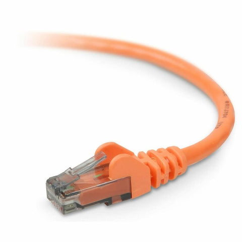Belkin International Inc Network Cable - Unshielded Twisted Pair (utp) - Male Left Gender - Male Right Ge