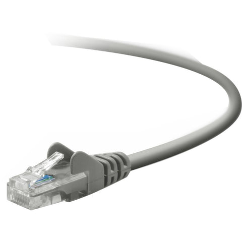 Belkin International Inc Patch Cord - Unshielded Twisted Pair (utp) - Male Left Gender - Male Right Gende