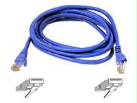 Belkin International Inc Patch Cable - Unshielded Twisted Pair (utp) - Male Left Gender - Male Right Gend