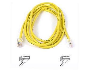 Belkin International Inc Patch Cable - Unshielded Twisted Pair (utp) - Male Left Gender - Male Right Gend