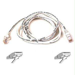 Belkin International Inc Patch Cable - Unshielded Twisted Pair (utp) - Male Left Gender - Male Right Gend