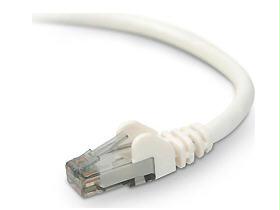 Belkin International Inc Belkin Snagless Patch Cable - Unshielded Twisted Pair (utp) - Male Left Gender -