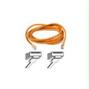 Belkin International Inc Patch Cord - Unshielded Twisted Pair (utp) - Male Left Gender - Male Right Gende