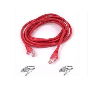 Belkin International Inc Patch Cable - Unshielded Twisted Pair (utp) - Male Left Gender - Male Right Gend