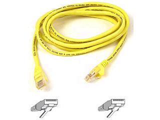 Belkin International Inc Patch Cable - Unshielded Twisted Pair (utp) - Male Left Gender - Male Right Gend
