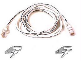 Belkin International Inc Patch Cable - Unshielded Twisted Pair (utp) - Male Left Gender - Male Right Gend