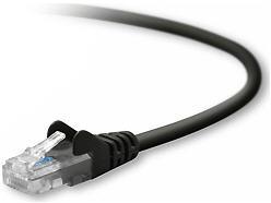 Belkin International Inc Patch Cable - Unshielded Twisted Pair (utp) - Male Left Gender - Male Right Gend