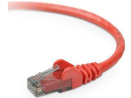 Belkin International Inc Belkin Patch Cable - Unshielded Twisted Pair (utp) - Male Left Gender - Male Rig