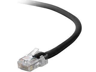 Belkin International Inc Patch Cable - Unshielded Twisted Pair (utp) - Male Left Gender - Male Right Gend