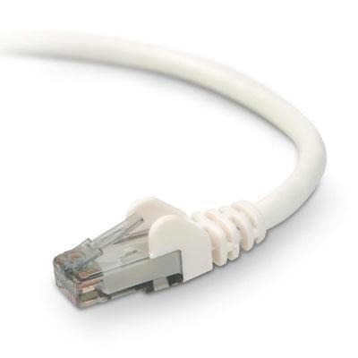 Belkin International Inc Belkin Patch Cable - Unshielded Twisted Pair (utp) - Male Left Gender - Male Rig