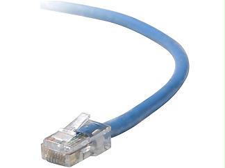 Belkin International Inc Patch Cable - Unshielded Twisted Pair (utp) - Male Left Gender - Male Right Gend