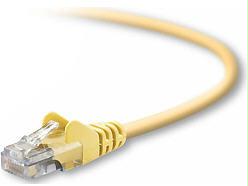 Belkin International Inc Patch Cable - Unshielded Twisted Pair (utp) - Male Left Gender - Male Right Gend
