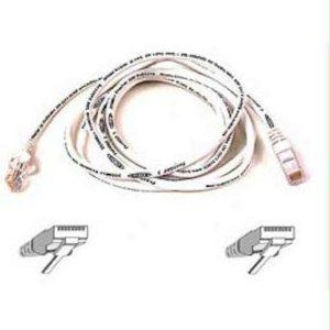 Belkin International Inc Patch Cable - Unshielded Twisted Pair (utp) - Male Left Gender - Male Right Gend