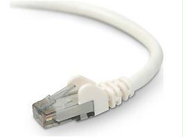 Belkin International Inc Patch Cable - Unshielded Twisted Pair (utp) - Male Left Gender - Male Right Gend