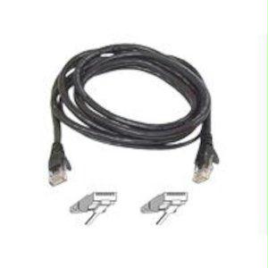 Belkin International Inc Patch Cable - Unshielded Twisted Pair (utp) - Male Left Gender - Male Right Gend