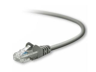 Belkin International Inc Belkin A3l791-100 Patch Cable - Unshielded Twisted Pair (utp) - Male Left Gender