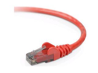Belkin International Inc Patch Cable - Unshielded Twisted Pair (utp) - Male Left Gender - Male Right Gend