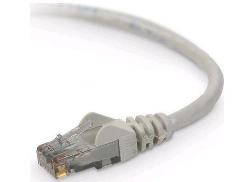 Belkin International Inc Patch Cable - Unshielded Twisted Pair (utp) - Male Left Gender - Male Right Gend