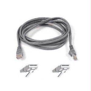 Belkin International Inc Patch Cable - Unshielded Twisted Pair (utp) - Male Left Gender - Male Right Gend