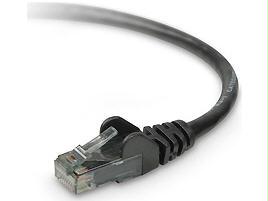 Belkin International Inc Patch Cable - Unshielded Twisted Pair (utp) - Male Left Gender - Male Right Gend