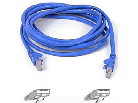Belkin International Inc Patch Cable - Unshielded Twisted Pair (utp) - Male Left Gender - Male Right Gend