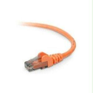 Belkin International Inc Patch Cable - Unshielded Twisted Pair (utp) - Male Left Gender - Male Right Gend