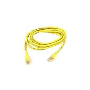 Belkin International Inc Patch Cable - Unshielded Twisted Pair (utp) - Male Left Gender - Male Right Gend