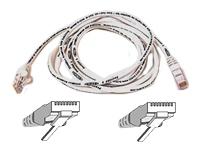 Belkin International Inc Patch Cable - Unshielded Twisted Pair (utp) - Male Left Gender - Male Right Gend