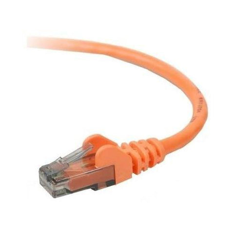 Belkin International Inc Patch Cable - Unshielded Twisted Pair (utp) - Male Left Gender - Male Right Gend