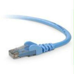 Belkin International Inc Belkin Patch Cable - Unshielded Twisted Pair (utp) - Male Left Gender - Male Rig