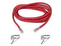 Belkin International Inc Patch Cable - Unshielded Twisted Pair (utp) - Male Left Gender - Male Right Gend