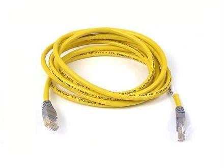 Belkin International Inc Patch Cable - Unshielded Twisted Pair (utp) - Male Left Gender - Male Right Gend