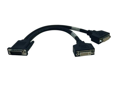 Eaton Tripp Lite Series Dms-59 To Dual Dvi Splitter Y Cable (m To 2x Dvi-i F), 1