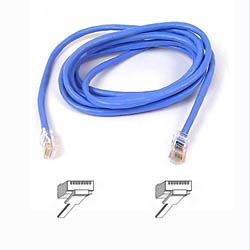 Belkin International Inc Patch Cable - Unshielded Twisted Pair (utp) - Male Left Gender - Male Right Gend