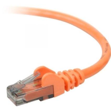 Belkin International Inc Patch Cable - Unshielded Twisted Pair (utp) - Male Left Gender - Male Right Gend