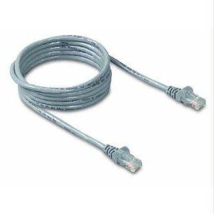 Belkin International Inc Patch Cable - Unshielded Twisted Pair (utp) - Male Left Gender - Male Right Gend
