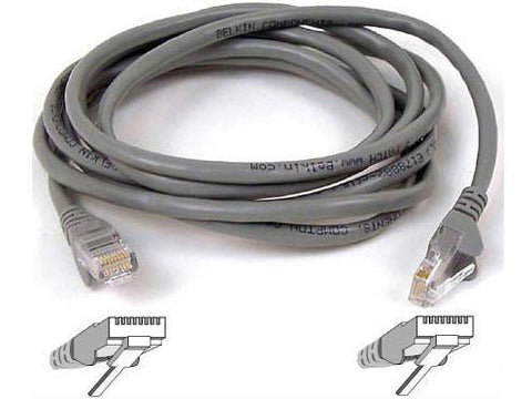 Belkin International Inc Patch Cable - Unshielded Twisted Pair (utp) - Male Left Gender - Male Right Gend