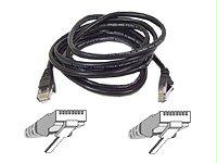 Belkin International Inc Patch Cable - Unshielded Twisted Pair (utp) - Male Left Gender - Male Right Gend